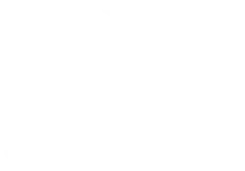 Saints Distributors Logo
